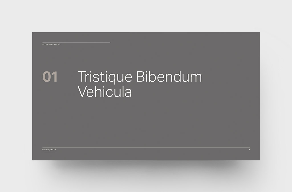 Numbered Section Divider – Neutral