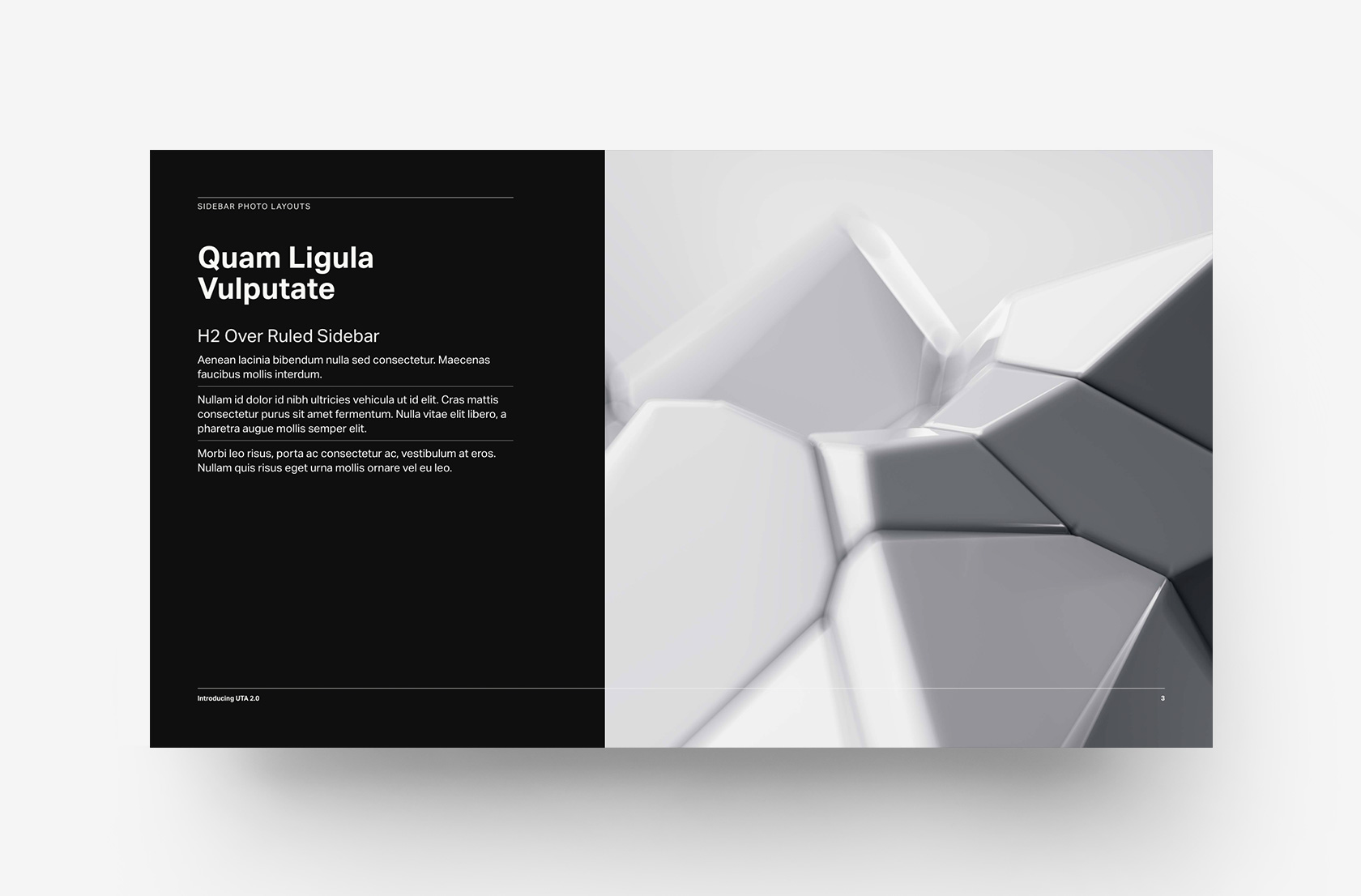 Sidebar Caption Photo with integrated Body Hierarchies - Frame Dark System